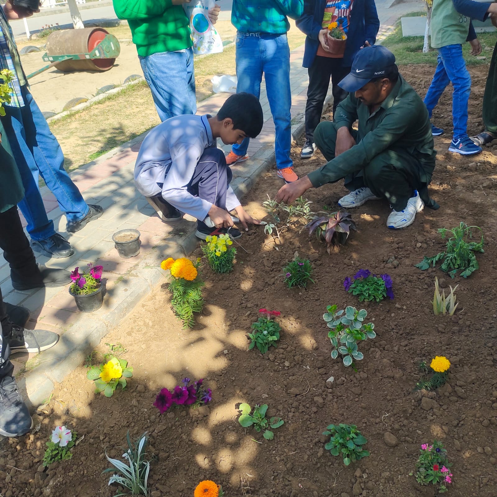 Civic Awareness Activity